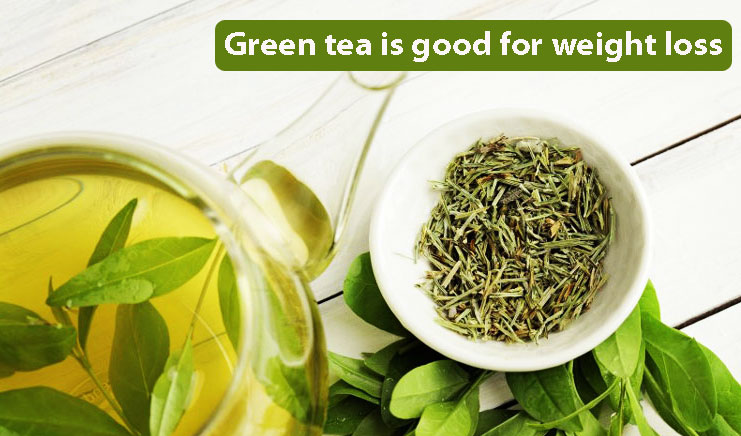 green tea is good for weight loss